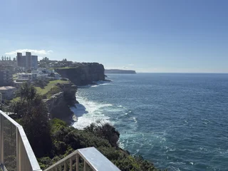 The image features a breathtaking view of the ocean from a high vantage point, likely from a deck or balcony. The vast expanse of the water is a striking contrast to the lush greenery surrounding the area. The scene is bathed in a warm, sunny light, creating a serene and inviting atmosphere. The combination of the ocean, the greenery, and the clear blue sky creates a sense of tranquility and beauty, making it an ideal location for relaxation and contemplation.