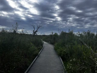 The image depicts a serene forest scene with a dirt path surrounded by lush green trees. The path is lined with a wooden fence, creating a sense of depth and dimension. The sky above is filled with clouds, adding a dramatic and moody atmosphere to the scene. The combination of the natural elements, such as the trees and the path, with the man-made wooden fence, creates a harmonious and picturesque landscape.